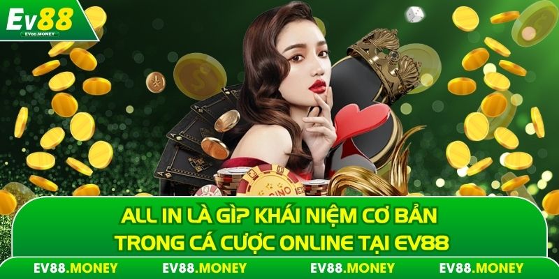 all in là gì đọc để hiểu rõ hơn
