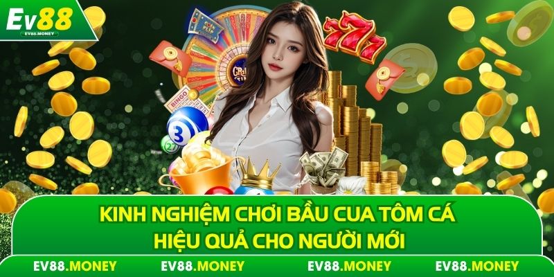 Kinh nghiệm chơi bầu cua tôm cá hiệu quả cho người mới