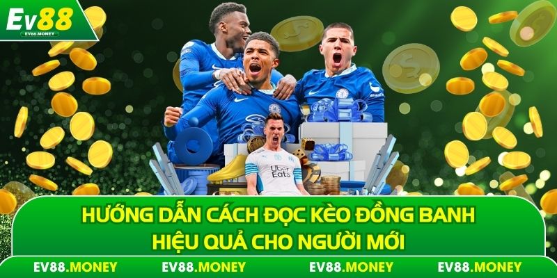 Hướng dẫn cách đọc kèo đồng banh hiệu quả cho người mới