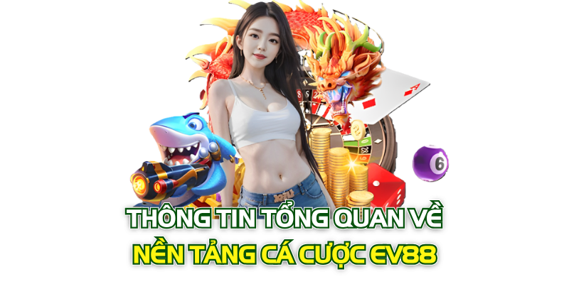 Thông tin tổng quan về nền tảng cá cược và giới thiệu Ev88