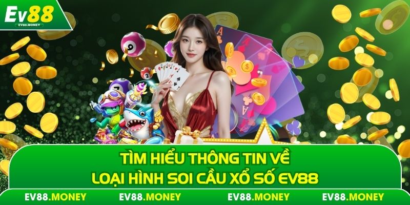 Tìm hiểu thông tin về loại hình soi cầu xổ số Ev88