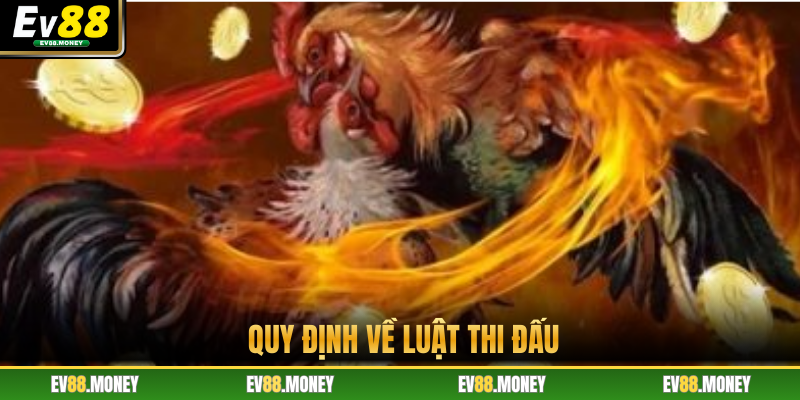 Quy định về luật thi đấu